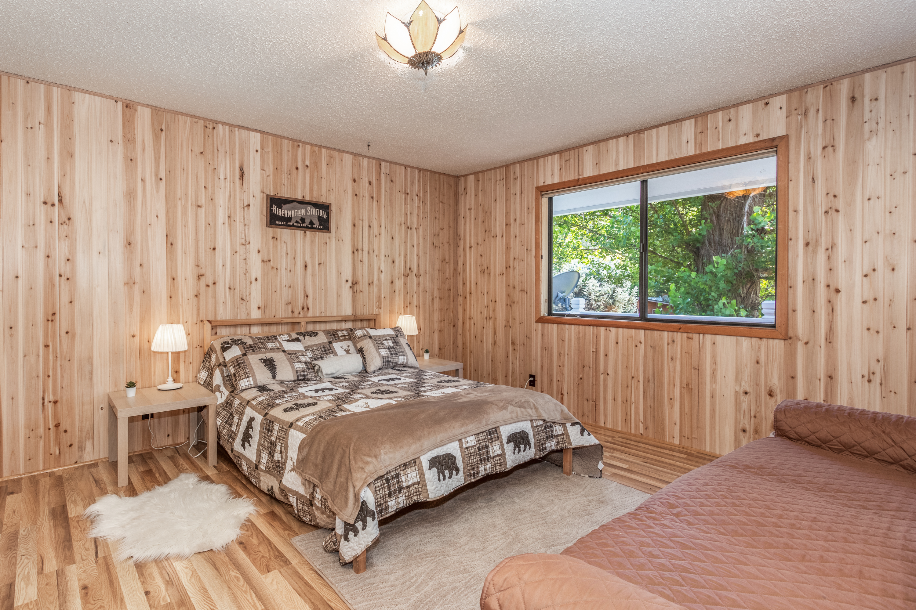 Cabin 23